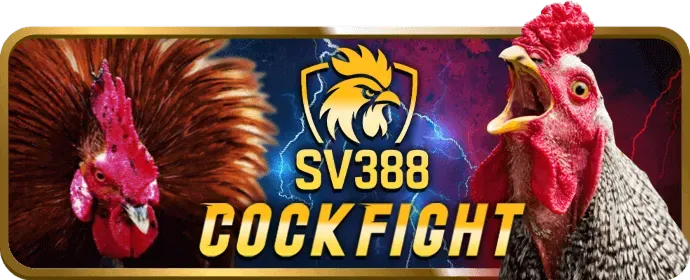 Cá cược trước trận đấu v999